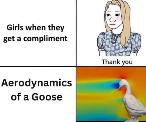 Girls When They Get a Compliment