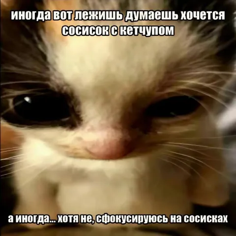 Кот думает о сосисках