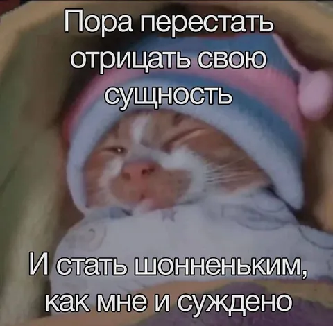 Шонненький кот принимает сущность
