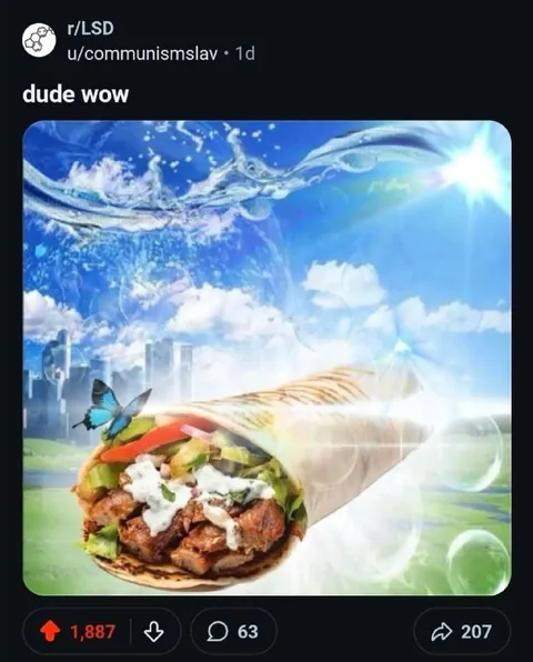 Dude Wow Surreal Burrito