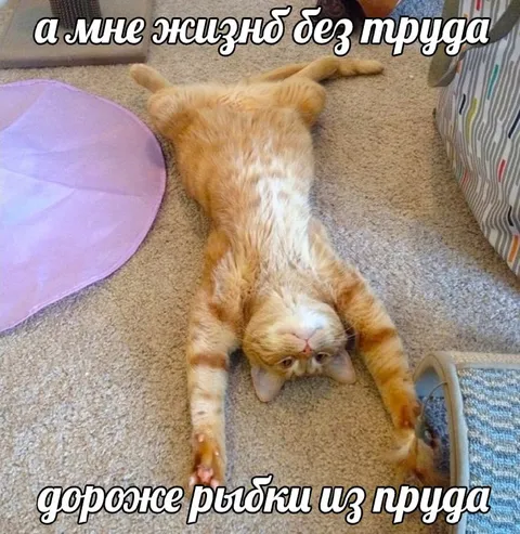 Жизнь без труда