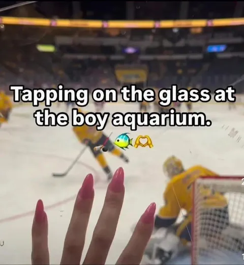 Tapping on the Glass at the Boy Aquarium