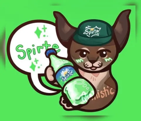 Sprite Cat Reaction