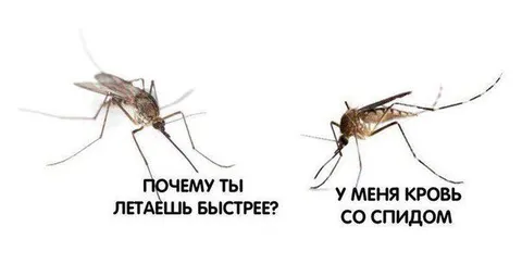 Комары с кровью и спиртом