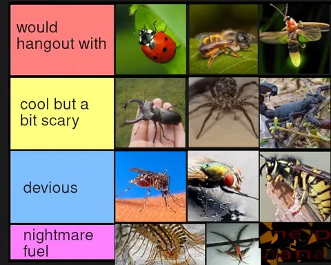 Insect Friend Tier List