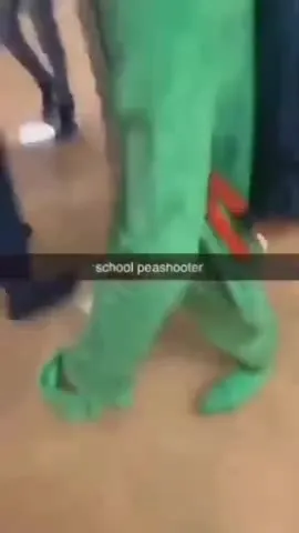 School Peashooter Walks Around