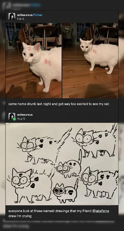 Drunk Cat and Namaki Drawings