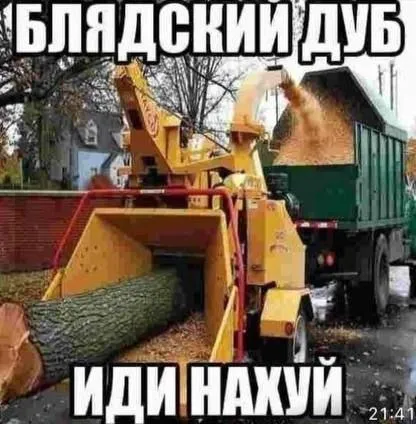 Блядский дуб иди нахуй