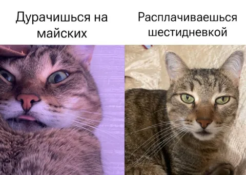 Дурачишься на майских