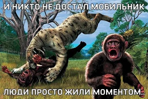 Люди просто жили моментом