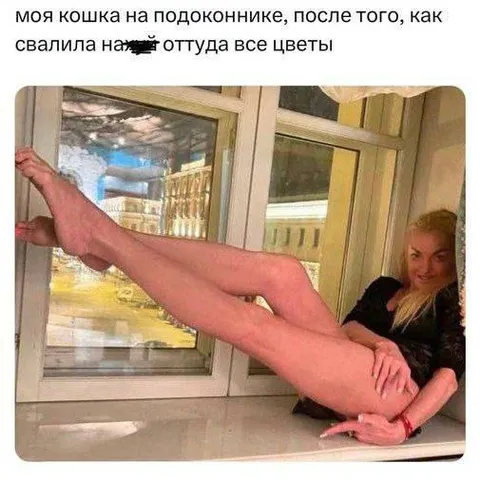 Кошка после цветов на подоконнике