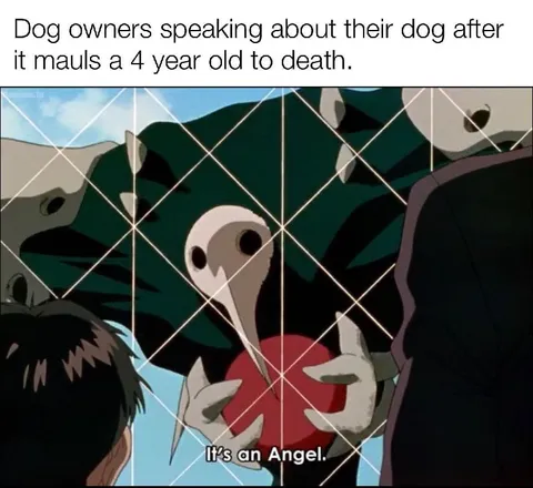 Dog Owners Call It an Angel