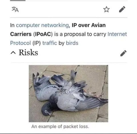 Avian Packet Loss