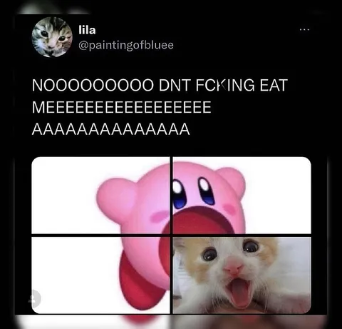 Kirby and Cat Scream
