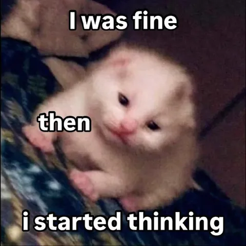 I Was Fine Then I Started Thinking