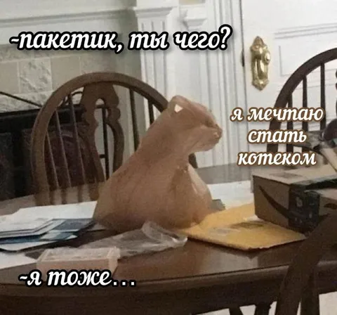 Пакетик мечтает стать котеком
