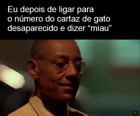 Ligando para o gato desaparecido