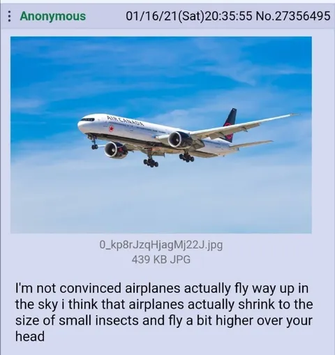 Airplanes Shrink Like Insects