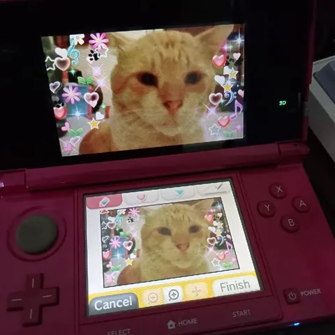 Кот на Nintendo 3DS