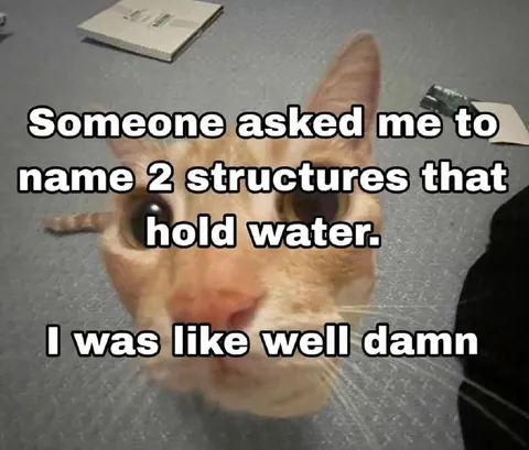 Cat Names Two Water Structures