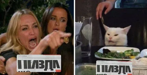 Женщина кричит на кота: правда