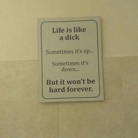 Life Is Like a Dick
