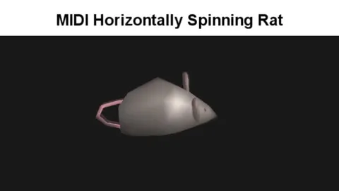 MIDI Horizontally Spinning Rat