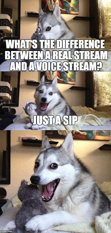 Real Stream Versus Voice Stream