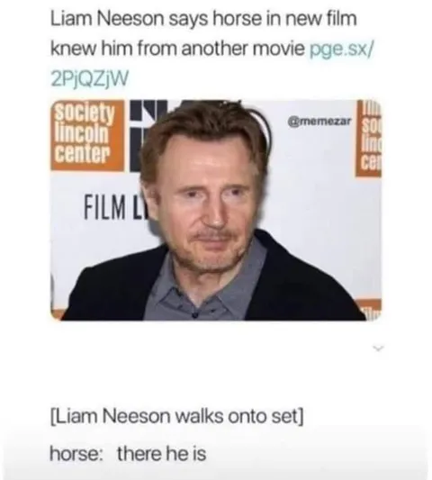 Liam Neeson Recognizes the Horse