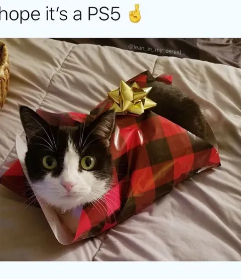 Hope It's a PS5