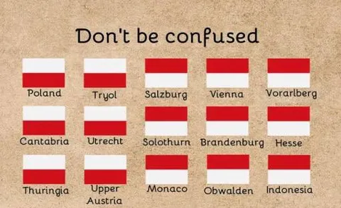 Don't Be Confused Flags