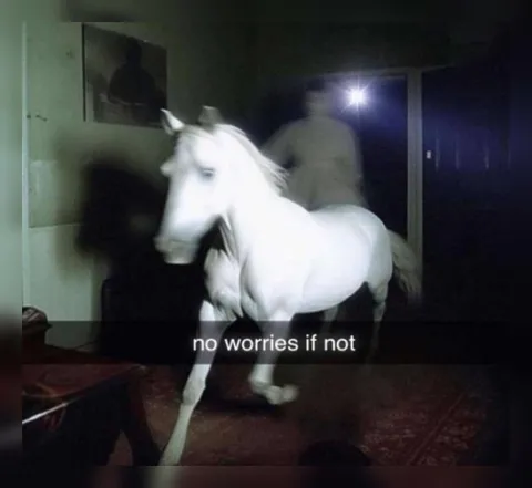 No Worries If Not Horse