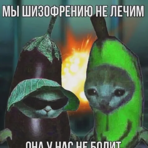 Мы шизофрению не лечим