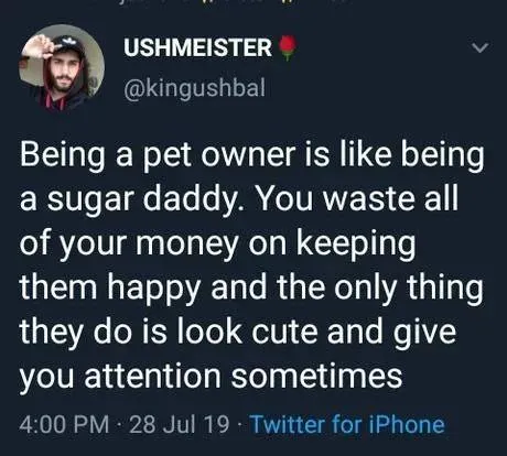 Pet Owner Sugar Daddy