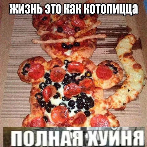 Жизнь как котопицца
