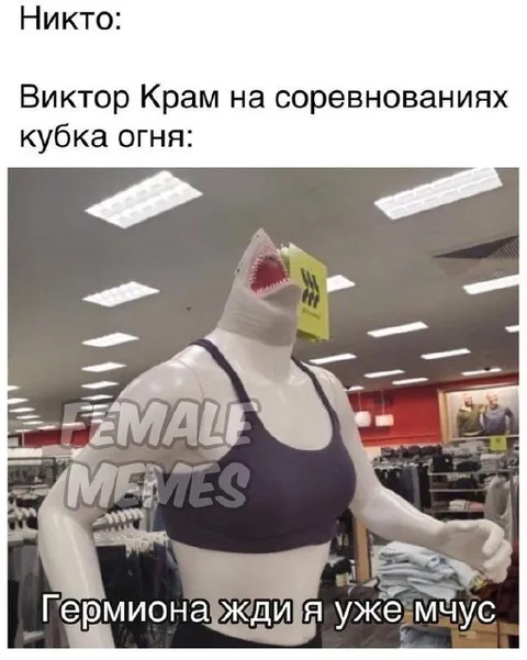 Гермиона, жди, я уже мчусь