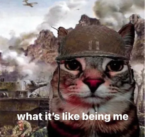 What It's Like Being Me