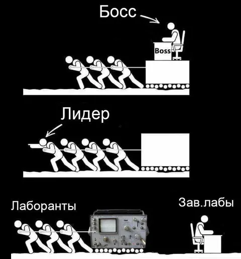 Босс, лидер и лаборанты
