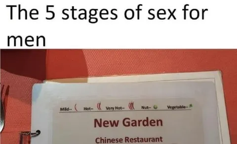 The Five Stages of Sex for Men