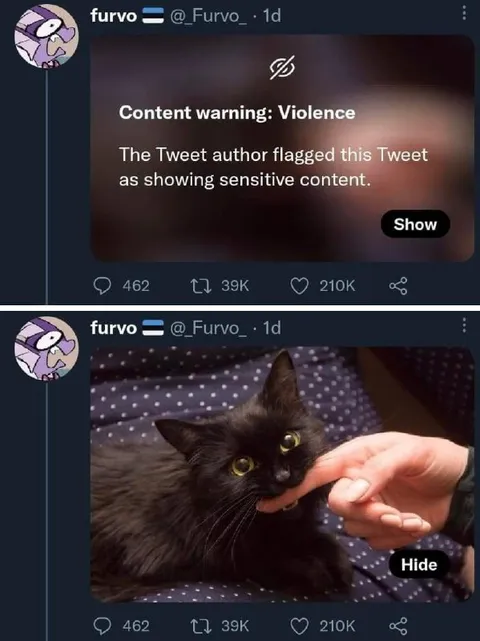 Content Warning Cat Reveal