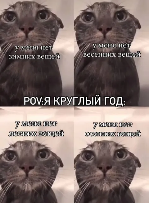 Круглый год нет сезонных вещей