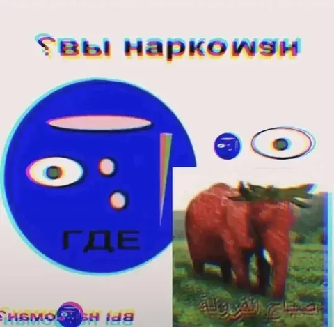 Вы наркоши, где?