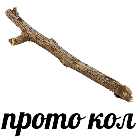 Прото кол на белом фоне