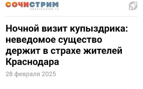 Ночной визит купыздрика