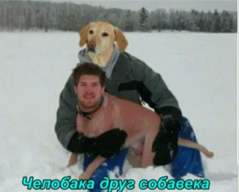 Человяка — друг собакека