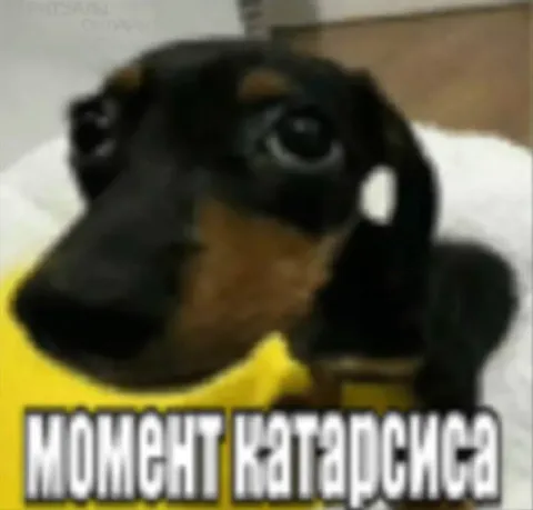 Момент катарсиса