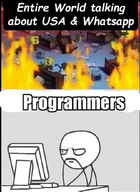 Programmers Watching the World Burn