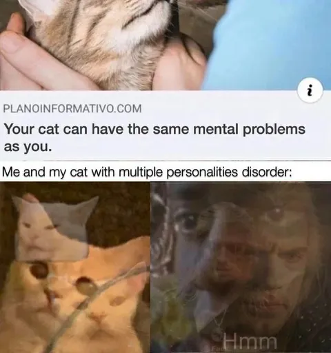 Cat With Multiple Personalities
