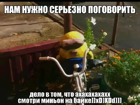 Миньон на велосипеде