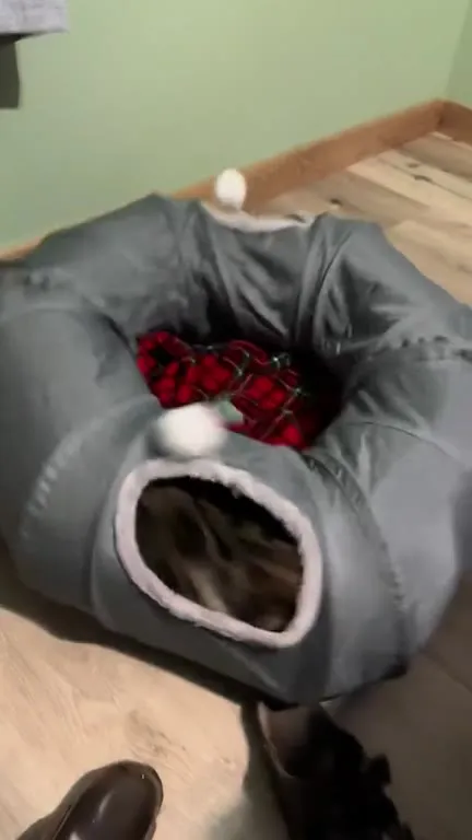 Адронный котлайдер в действии
